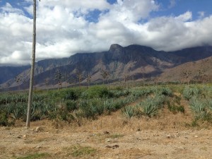 Usambara Mountains and Sisal